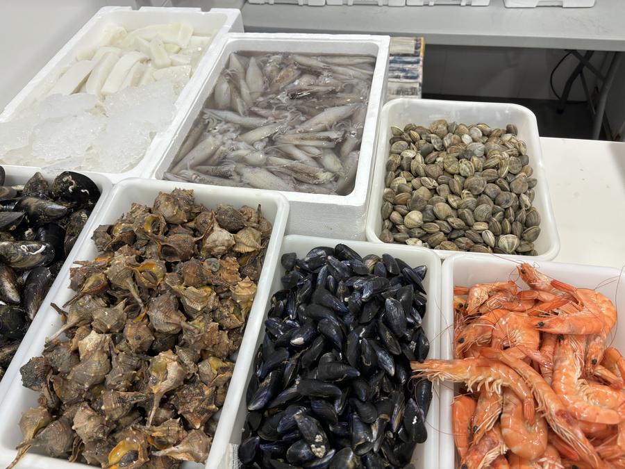 Gambas, mejillones, almejas, chirlas y calamar fresco en Pescadería Molina