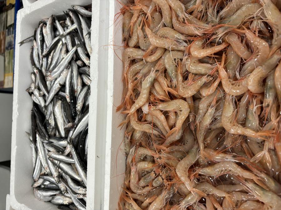 Boquerones frescos y gambas crudas en la pescadería