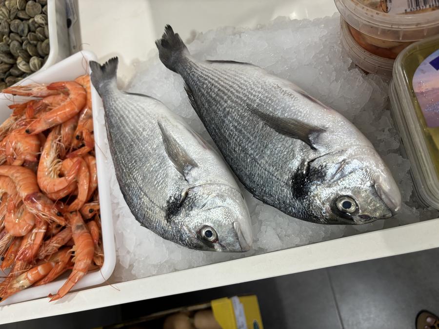 Doradas frescas en hielo con salmón, pescadería Molina